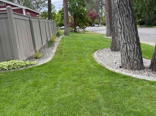 Lavern P.'s grass maintenance service result