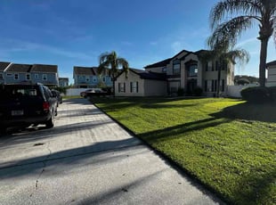 Ingra D.'s Long Grass Cleanup service result