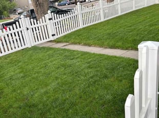 David H.'s grass cutting service result