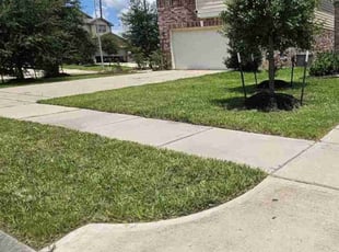Brenda D.'s grass cutting service result