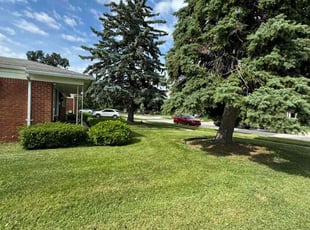 Francesca R.'s lawn care services service result