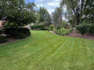 Sharon B.'s lawn service service result