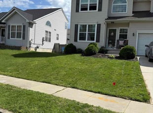 Billy R.'s turf care service result
