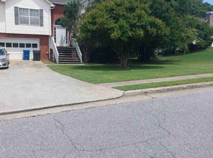Davianna W.'s lawn care service result