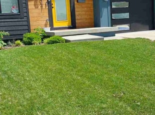 Keith C.'s turf maintenance service result