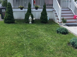 Joseph S.'s lawn care service result