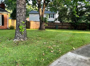 Melanie D.'s turf care service result