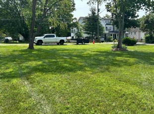 Rajkumar V.'s grass cutting service result