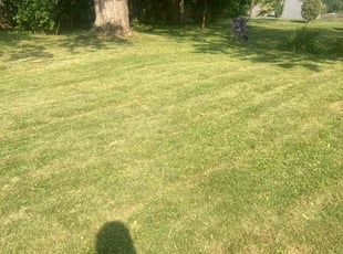 Harry H.'s turf maintenance service result