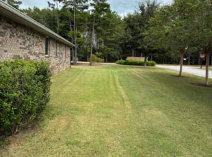 Justin R.'s turf care service result