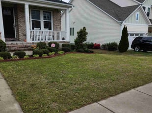 Ms B.'s turf maintenance service result