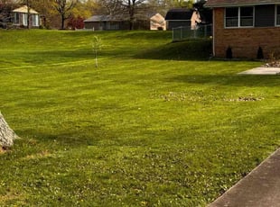 Avis J.'s grass cutting service result