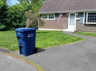 Sergey Z.'s turf care service result