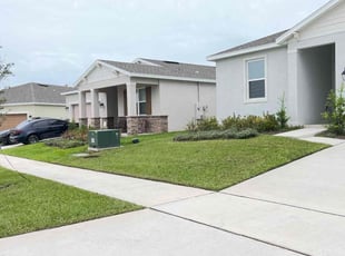 Shane J.'s turf maintenance service result