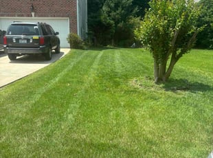 Malcom J.'s lawn care service result