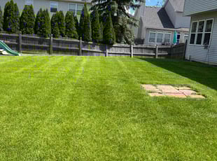 Melissa H.'s lawn maintenance service result