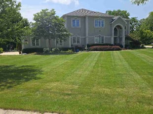 Charisse M.'s lawn care service result