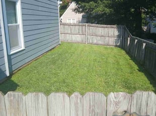 Toni H.'s turf care service result