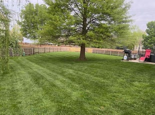 Courtney B.'s lawn service service result