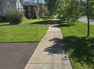 Dan H.'s turf care service result