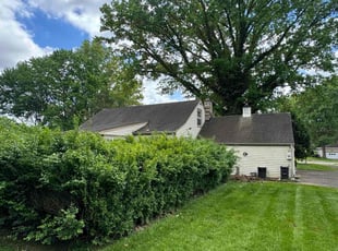 Noreen B.'s lawn service service result