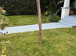 Kathryn H.'s lawn service service result