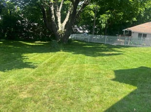 Sandra J.'s lawn care service result