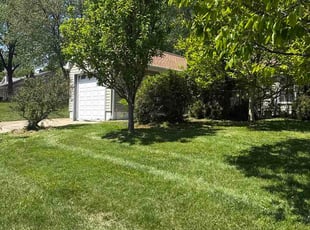 Raheelah K.'s lawn care service result
