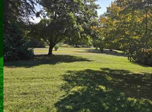 Diane F.'s lawn care service result