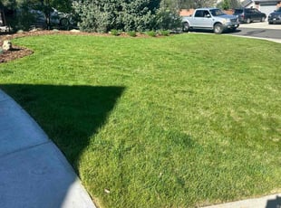 Sonya M.'s lawn care services service result