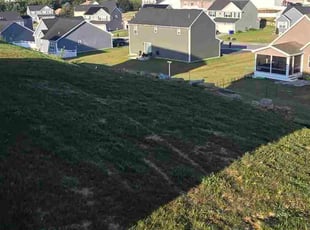 Pascal F.'s lawn care services service result