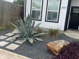 Josh N.'s turf care service result