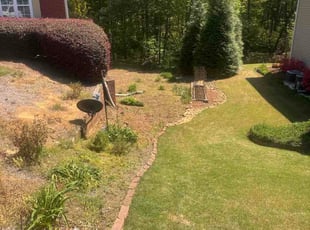 Linda C.'s Bush Trimming service result