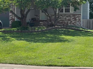 Jamie R.'s lawn maintenance service result