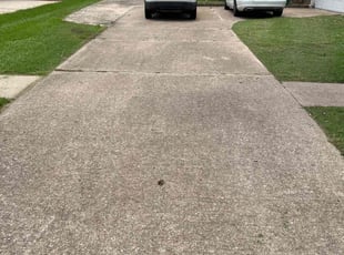 Phyllis F.'s turf care service result