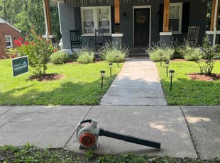 Lee R.'s grass maintenance service result