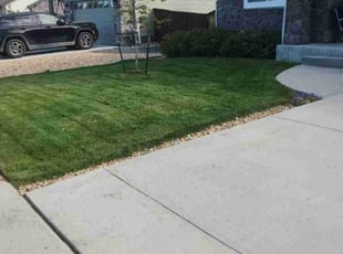 Hong N.'s grass cutting service result
