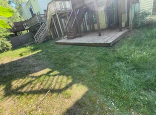 Margie S.'s turf care service result