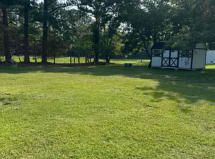 Graig S.'s lawn maintenance service result