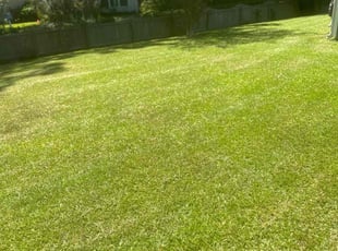 Jade A.'s grass maintenance service result