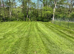 Amy D.'s lawn service service result