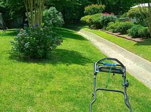 Linda M.'s turf maintenance service result