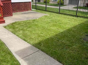Kari W.'s grass cutting service result