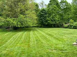 Arpit P.'s lawn maintenance service result