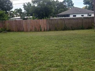 Stephen P.'s lawn care service result