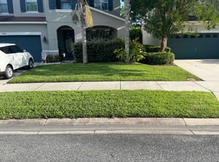 Moe M.'s lawn care services service result