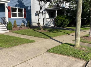 Marggi M.'s lawn care services service result