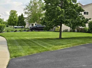 Brandon P.'s lawn service service result