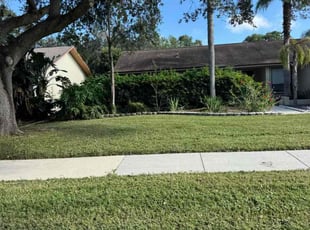 Sharnazi D.'s lawn care services service result