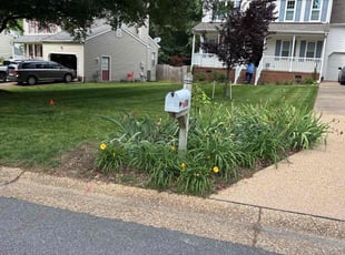 Fred A.'s lawn care services service result